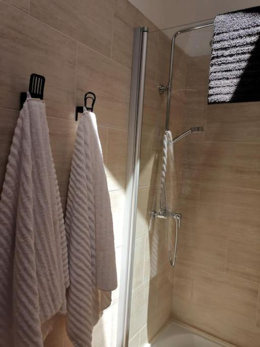 Duplex Espectacular En El Centro De Camprodon. Appartamento
